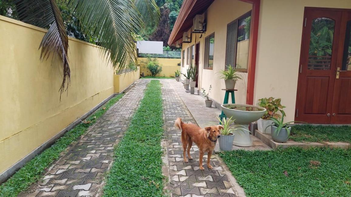 El-Nivasa Villa In 韦利格默 外观 照片