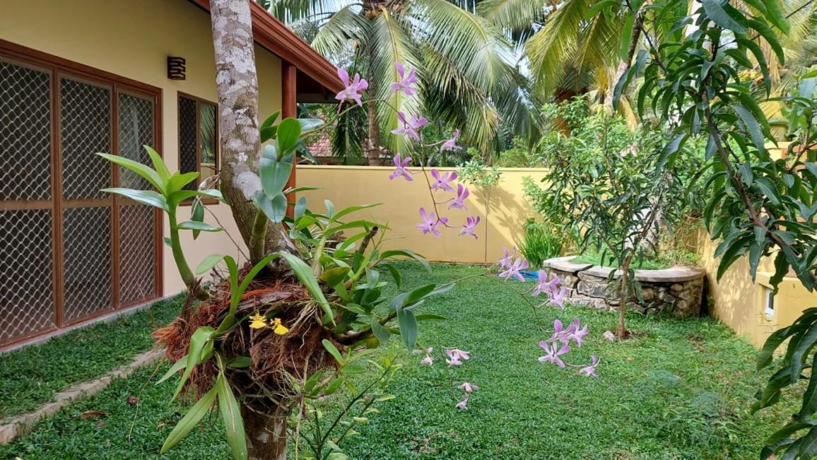 El-Nivasa Villa In 韦利格默 外观 照片